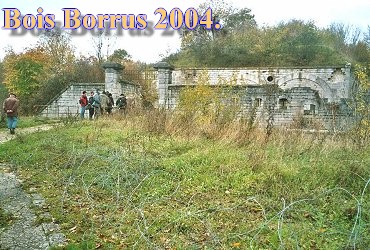 Bois Borrus002.jpg (55523 Byte)