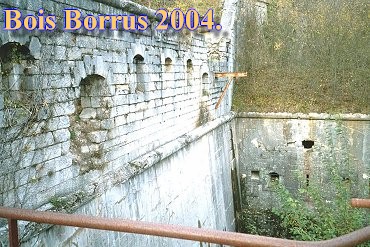 Bois Borrus003.jpg (53150 Byte)