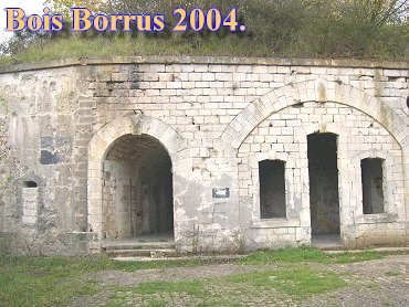 Bois Borrus012.jpg (49456 Byte)