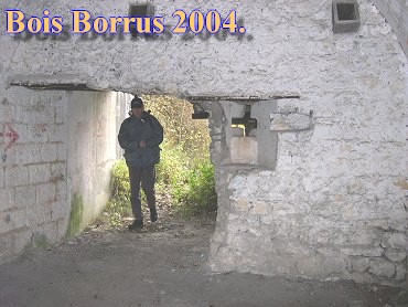 Bois Borrus016.jpg (40603 Byte)