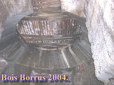 Bois Borrus018.jpg (43995 Byte)