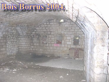 Bois Borrus023.jpg (36949 Byte)