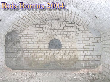 Bois Borrus026.jpg (42307 Byte)