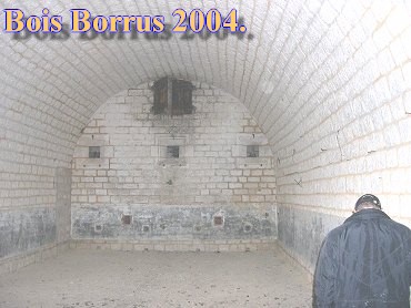 Bois Borrus029.jpg (33714 Byte)